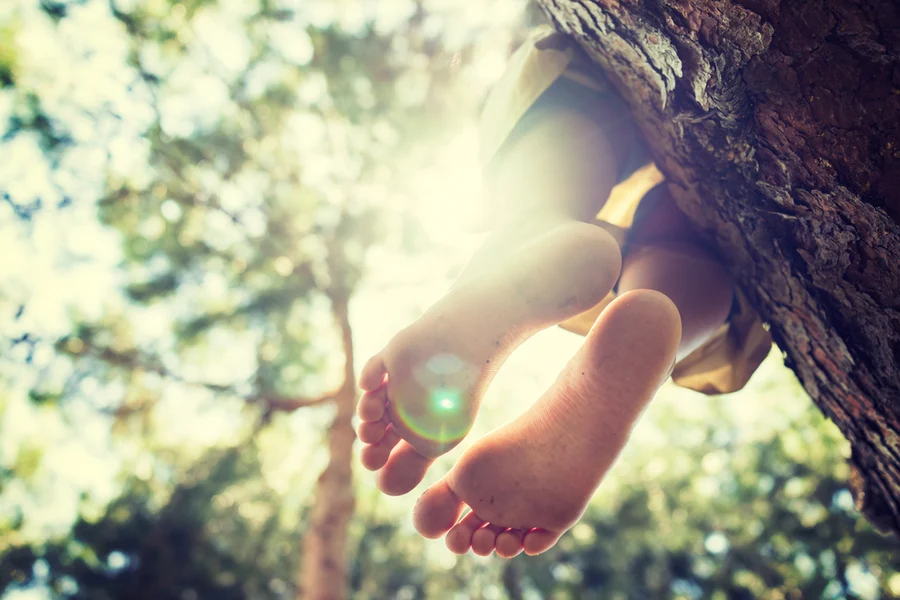 Sitting_on_the_tree__freedom__feet.webp