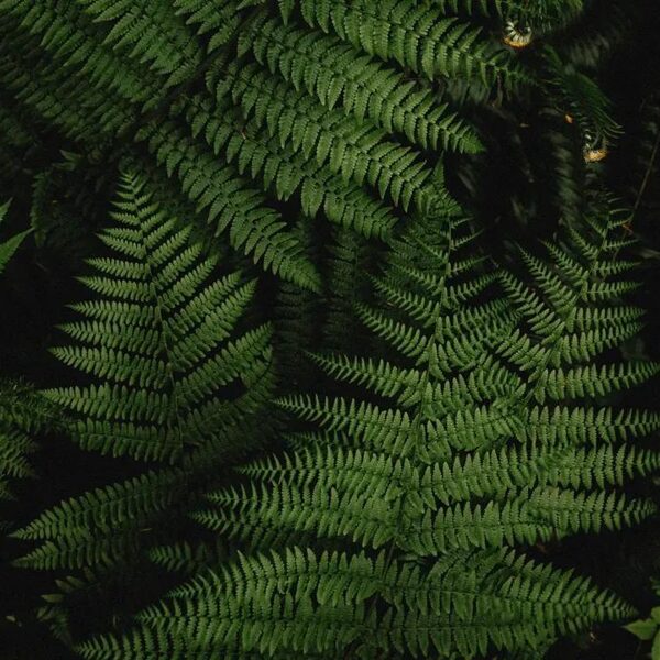 "Kustība – tas ir mūsu ceļš uz labsajūtu."