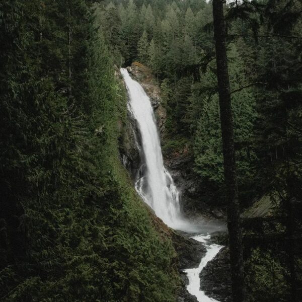 "Katrs nospiedums zemē ir kā stāsts."