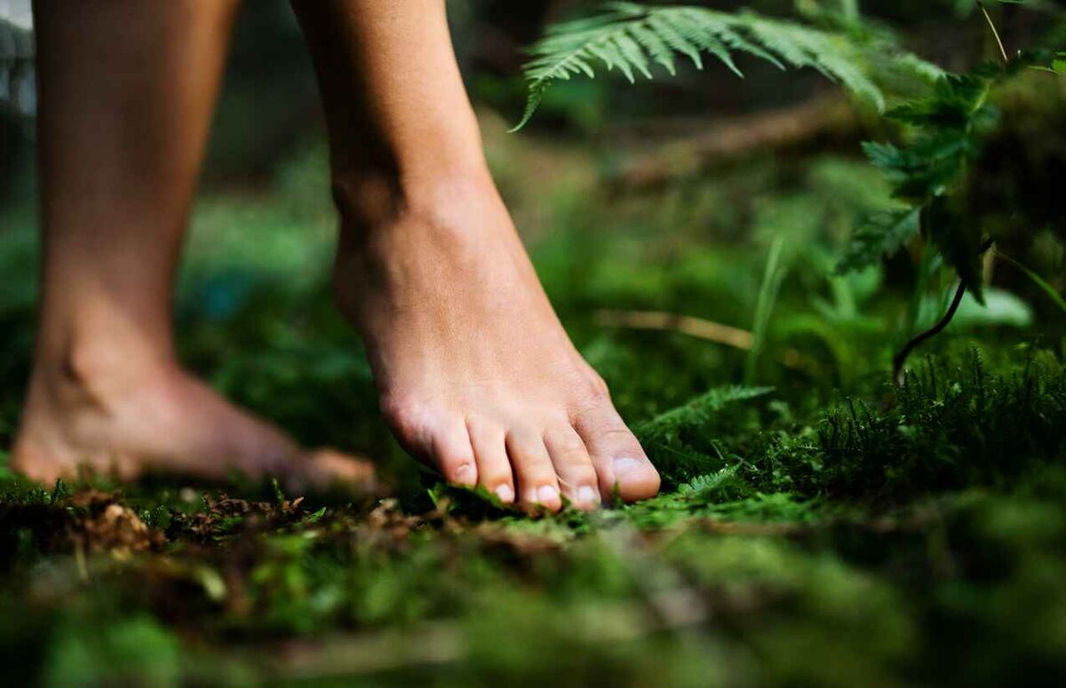 nature-pied.jpg